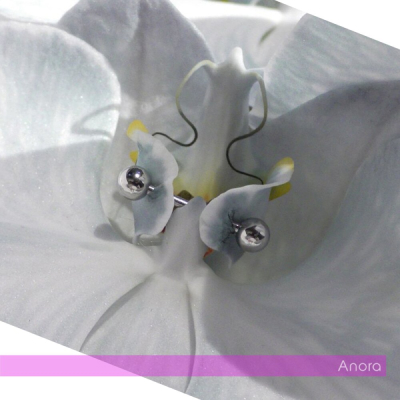 Без дизайнера