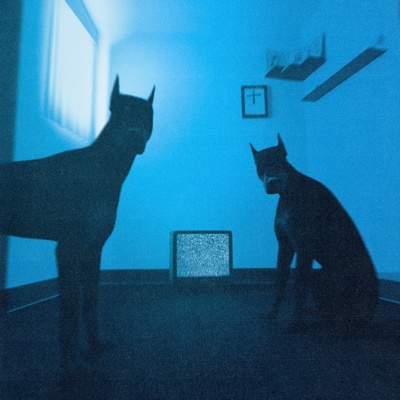 я так вижу, Егор