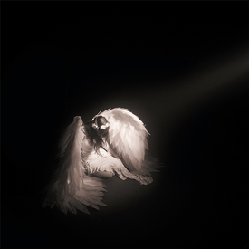 ангел-хранитель